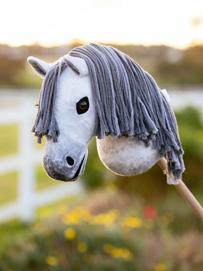 LeMieux Hobby Horse - Earl-1