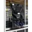 LeMieux Hanging Pockets - Black