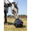 Lemieux Hay Ball - Navy