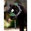 LeMieux Toy Pony Vogue Headcollar and Leadrope Hunter Green