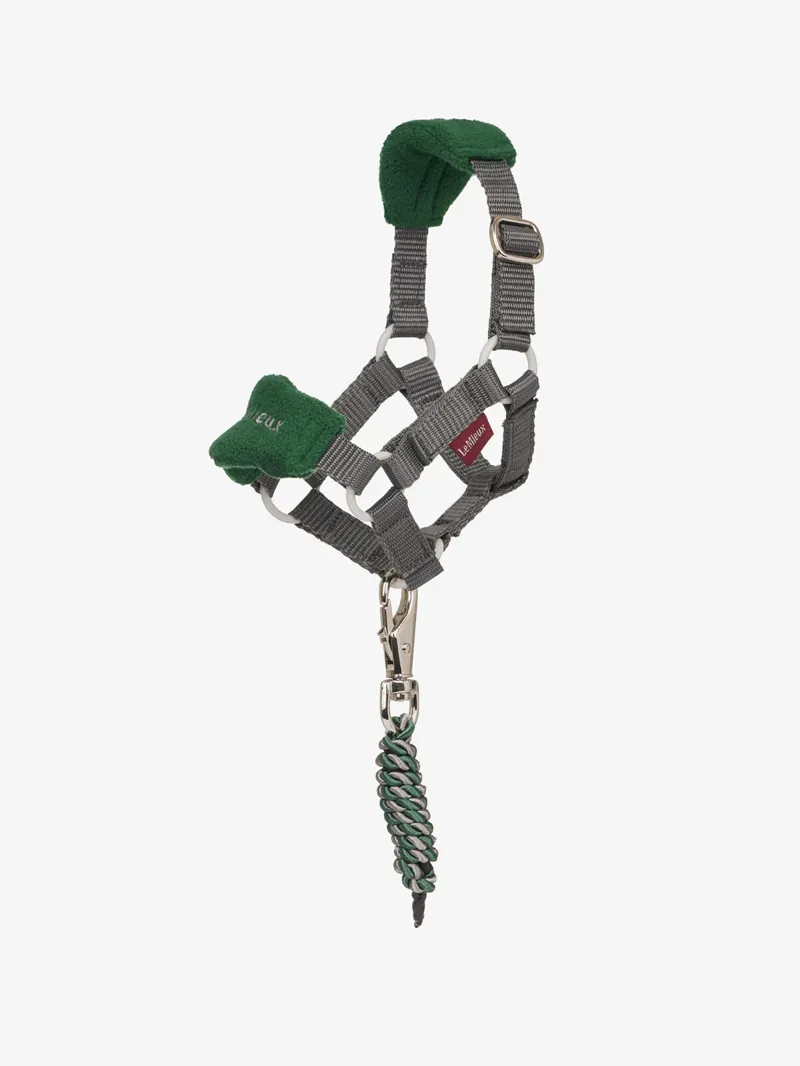 LeMieux Toy Pony Vogue Headcollar and Leadrope Hunter Green-1