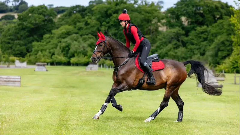 LeMieux Suede Close Contact Square - Chilli-1