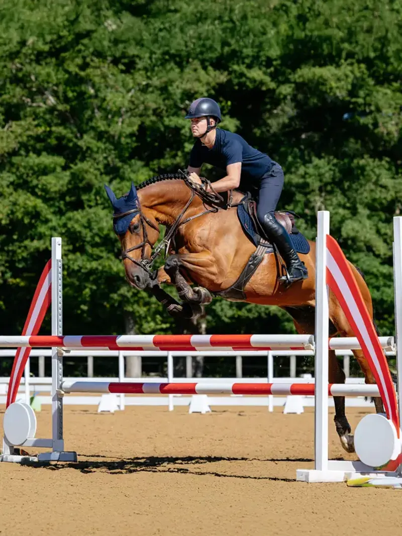 LeMieux Suede Close Contact Square - Navy-1