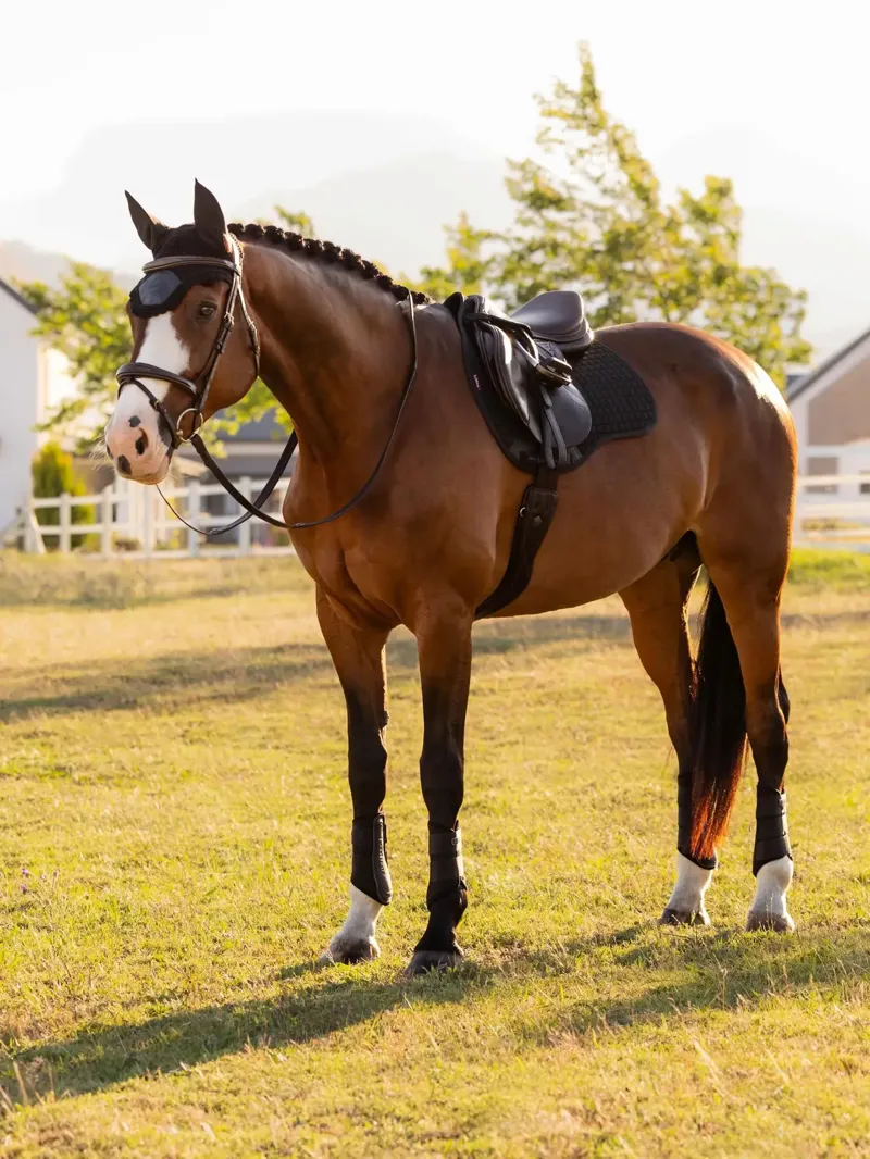 LeMieux Cotton GP Square - Black Large-1