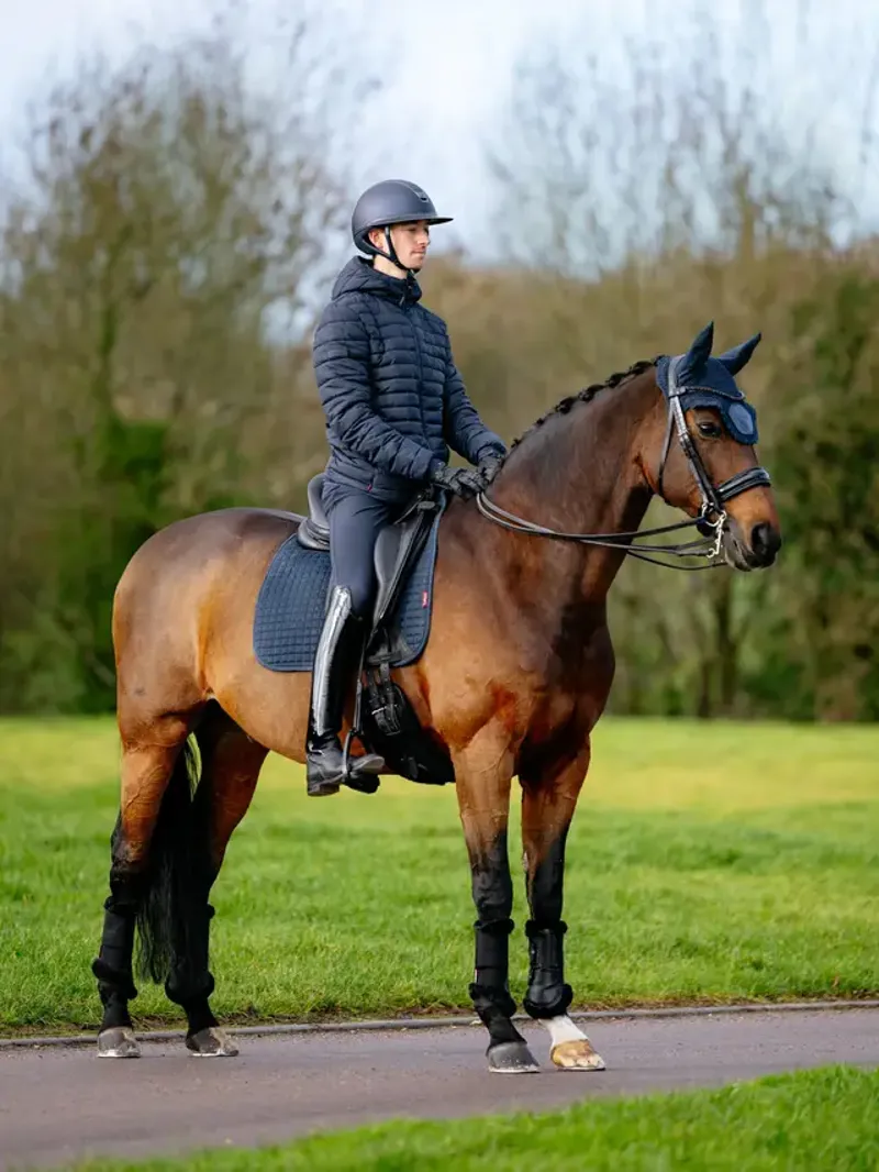 LeMieux Suede Dressage Square - Navy S/M-2