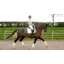 LeMieux Suede Dressage Square - White