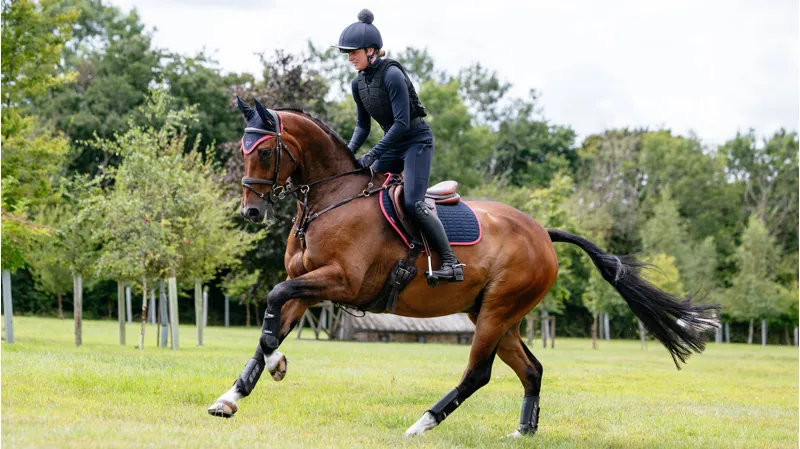LeMieux Suede Close Contact Square - Navy/Cranberry