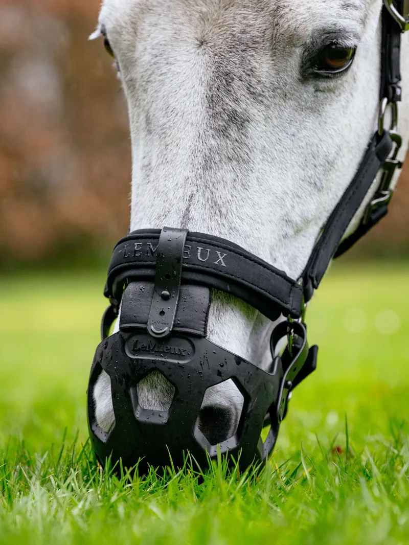 LeMieux Noma Grazing Muzzle - Black-2