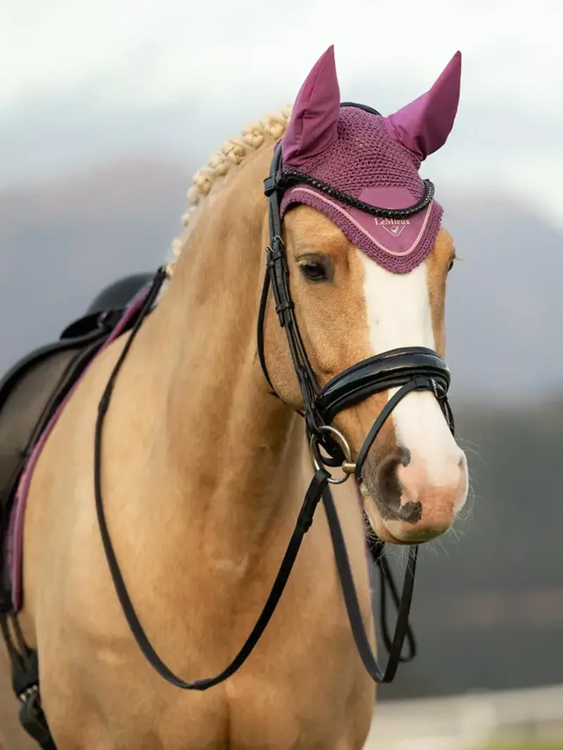 LeMieux Classic Fly Hood - Mallow-1