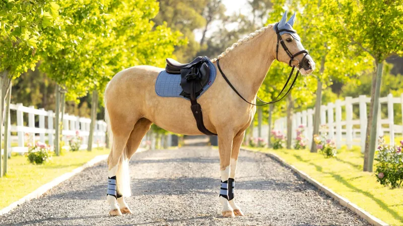 LeMieux Suede Close Contact Square - Powder Blue-1