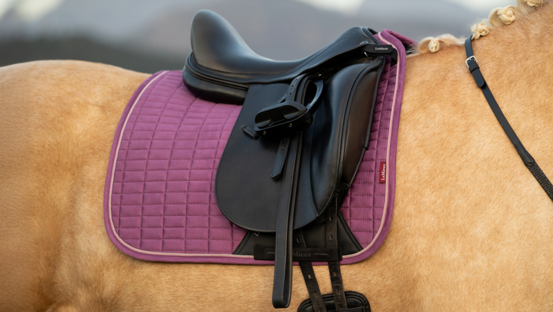 LeMieux Suede Dressage Square - Mallow Large-3