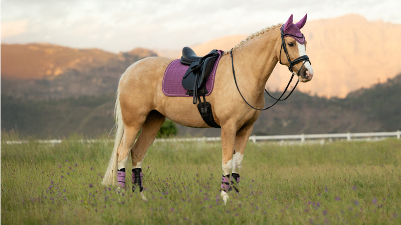 LeMieux Suede Dressage Square - Mallow Large-1