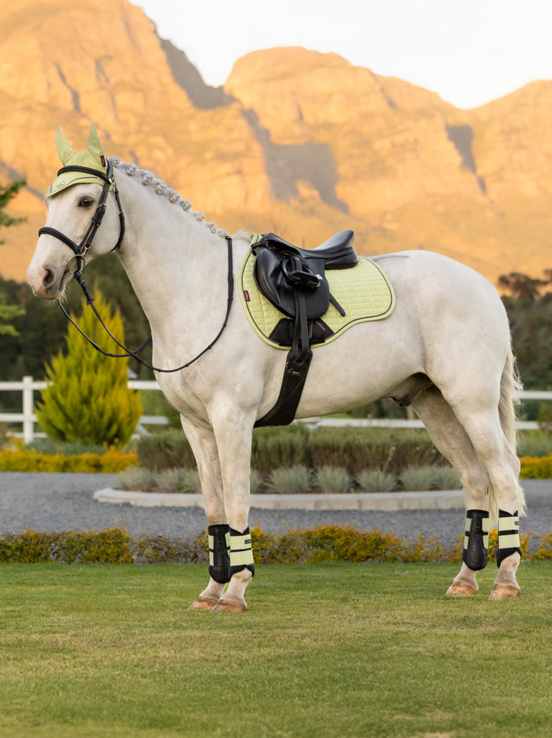 LeMieux Suede GP Square - Macaron-2