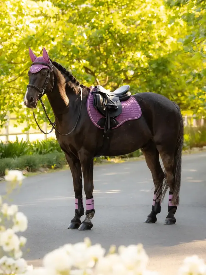 LeMieux Suede GP Square - Mallow-1