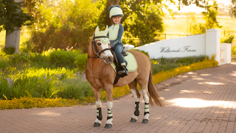 LeMieux Mini Suede Close Contact Square - Macaron XS-3