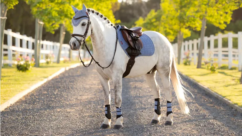 LeMieux Mini Suede Close Contact Square - Powder Blue XS-1