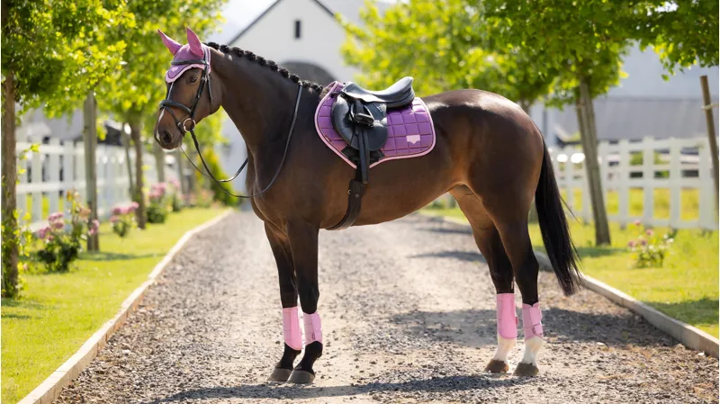 LeMieux Loire Classic Close Contact Square - Mallow-1