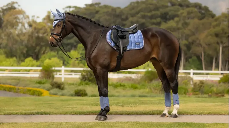 LeMieux Loire Classic Close Contact Square - Powder Blue-3