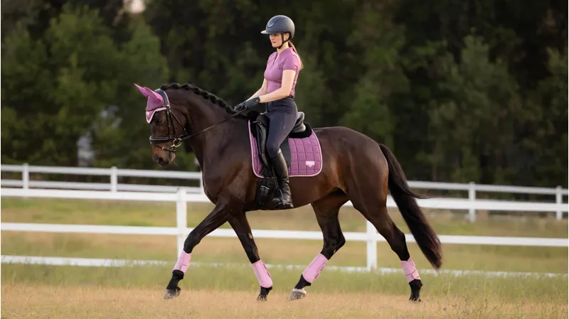 LeMieux Loire Classic Dressage Square - Mallow Large-1