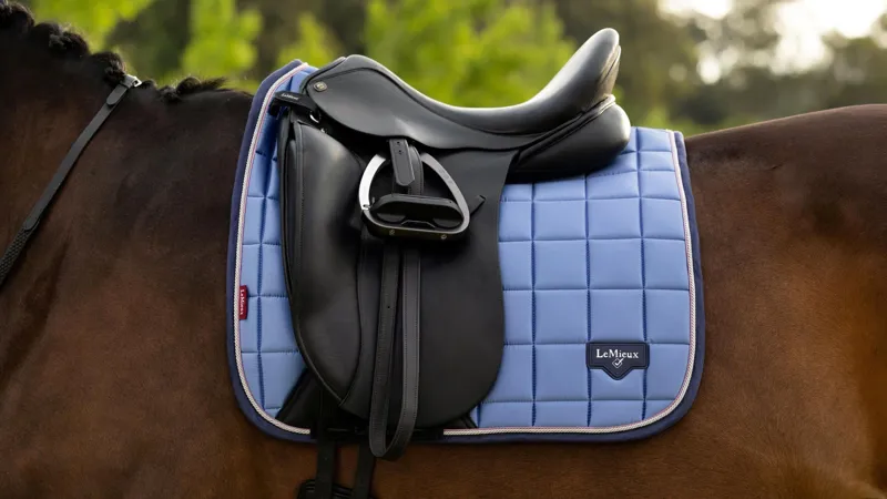 LeMieux Loire Classic Dressage Square - Powder Blue Large-3