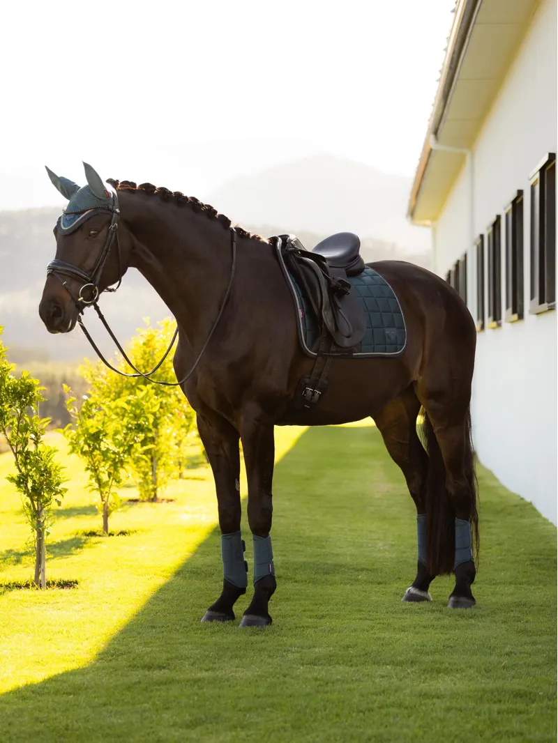 LeMieux Loire Classic Dressage Square - Jungle Large-2