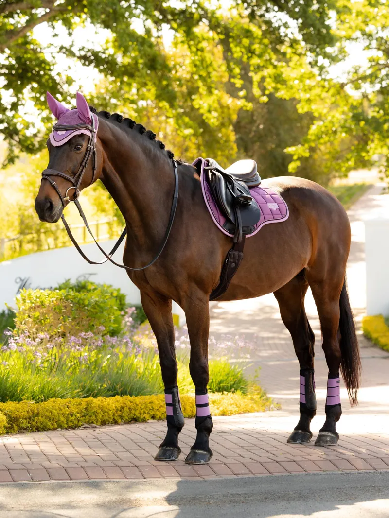 LeMieux Loire Classic GP Square - Mallow-2