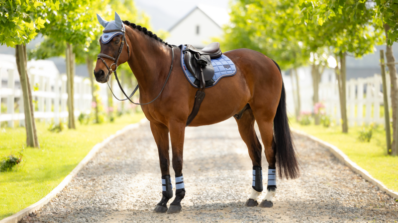 LeMieux Loire Classic GP Square - Powder Blue-1