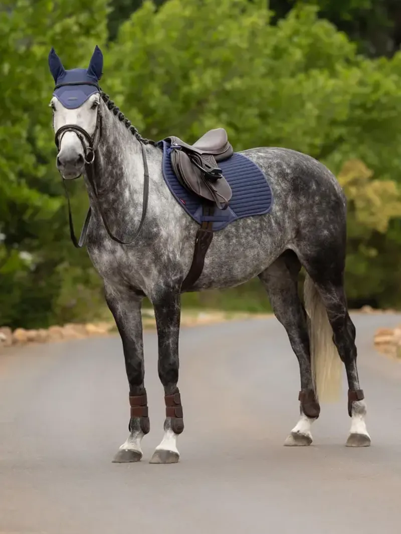 LeMieux Air-Tek CC Square - Shadow Large-2