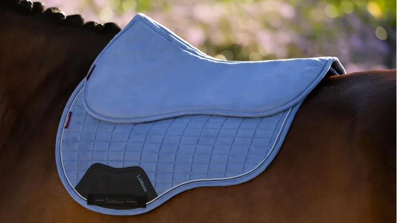 LeMieux Suede Half Pad - Powder Blue Large-1