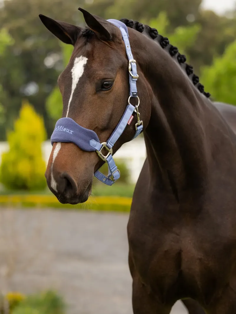 LeMieux Vogue Headcollar and Leadrope - Powder Blue-1