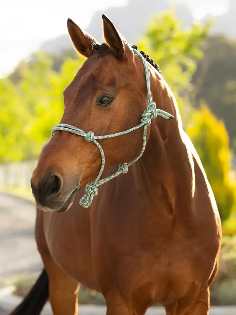 LeMieux Rope Halter - Macaron-1