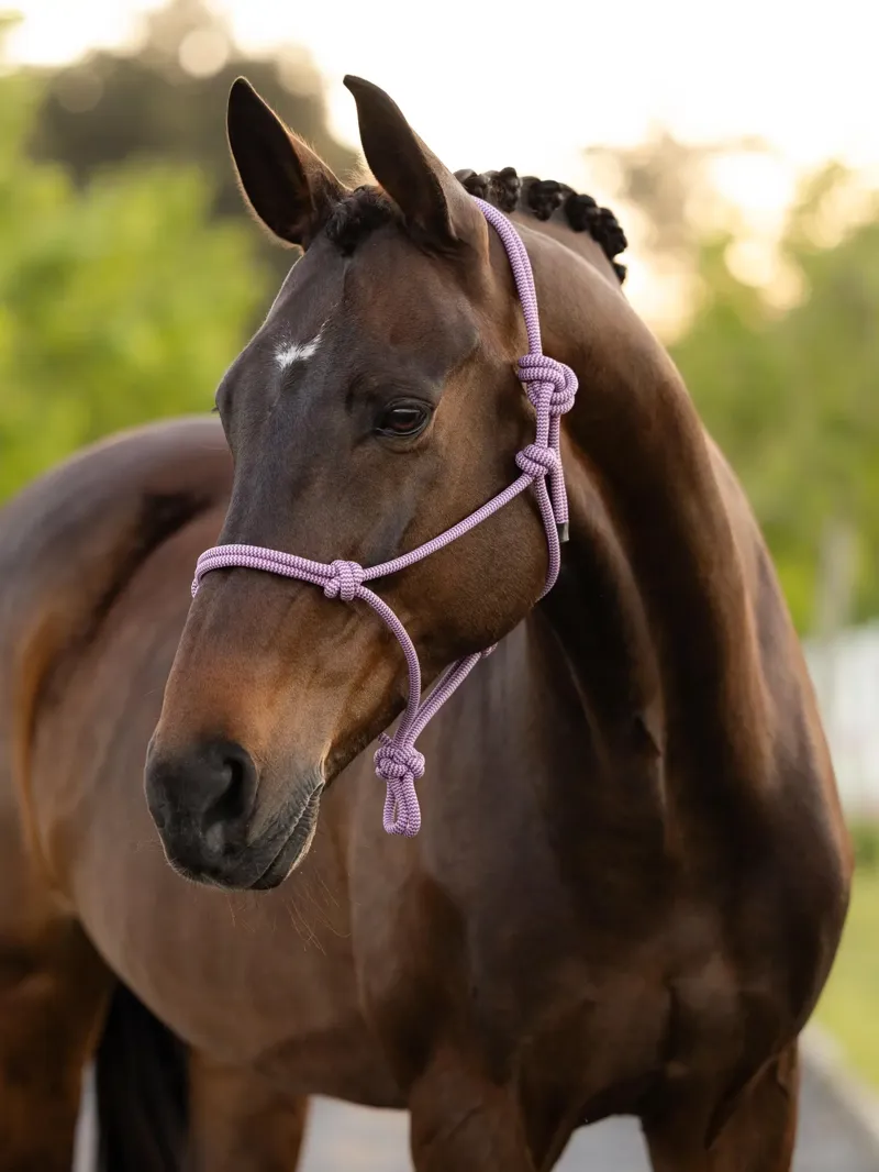 LeMieux Rope Halter - Fondant-1