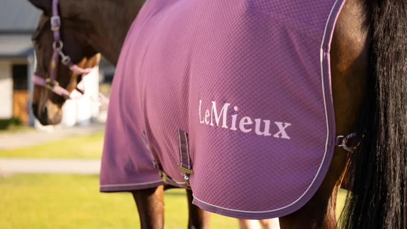 LeMieux Kudos Bamboo Cooler - Mallow-2