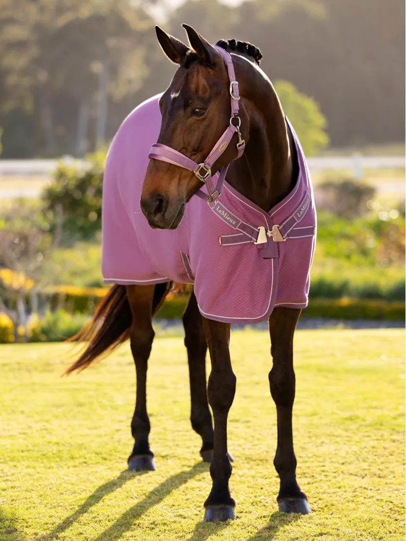 LeMieux Kudos Bamboo Cooler - Mallow-1