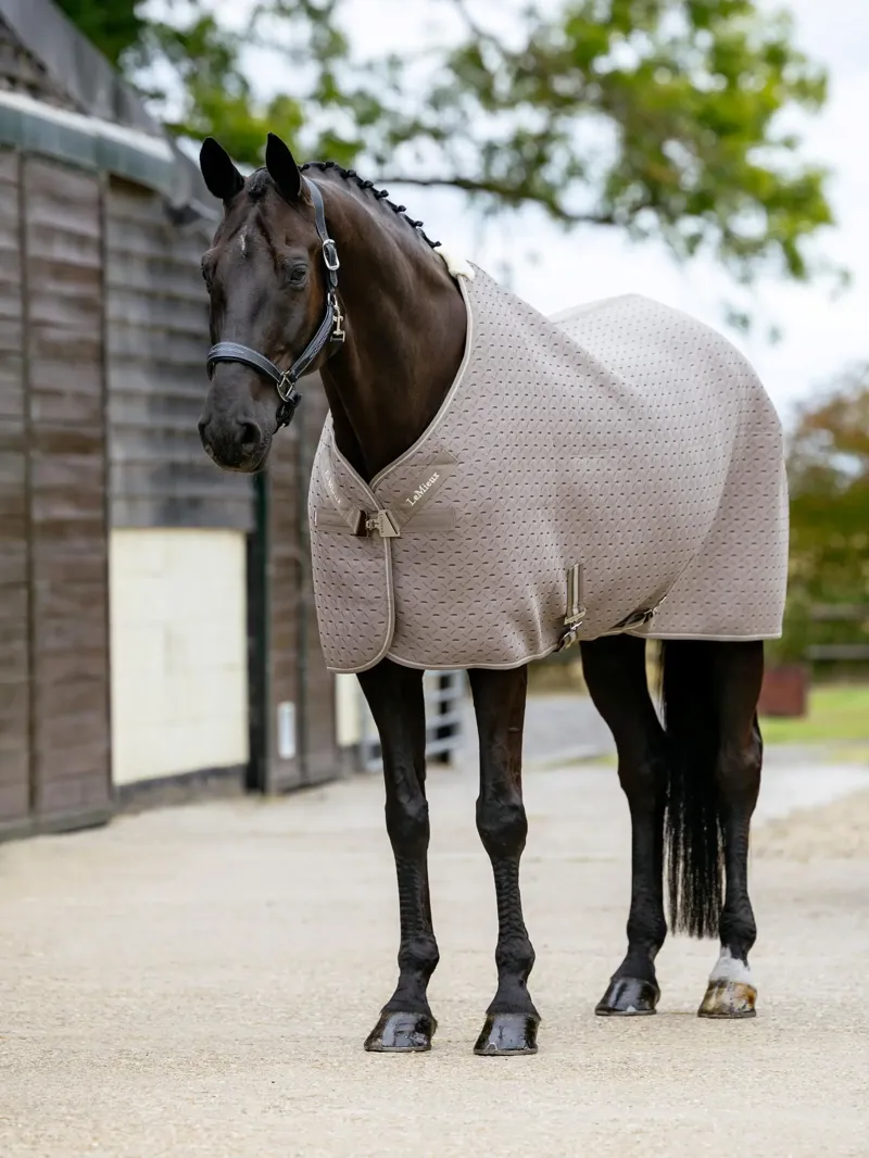 LeMieux Kudos 3D Mesh Travel Rug - Pecan