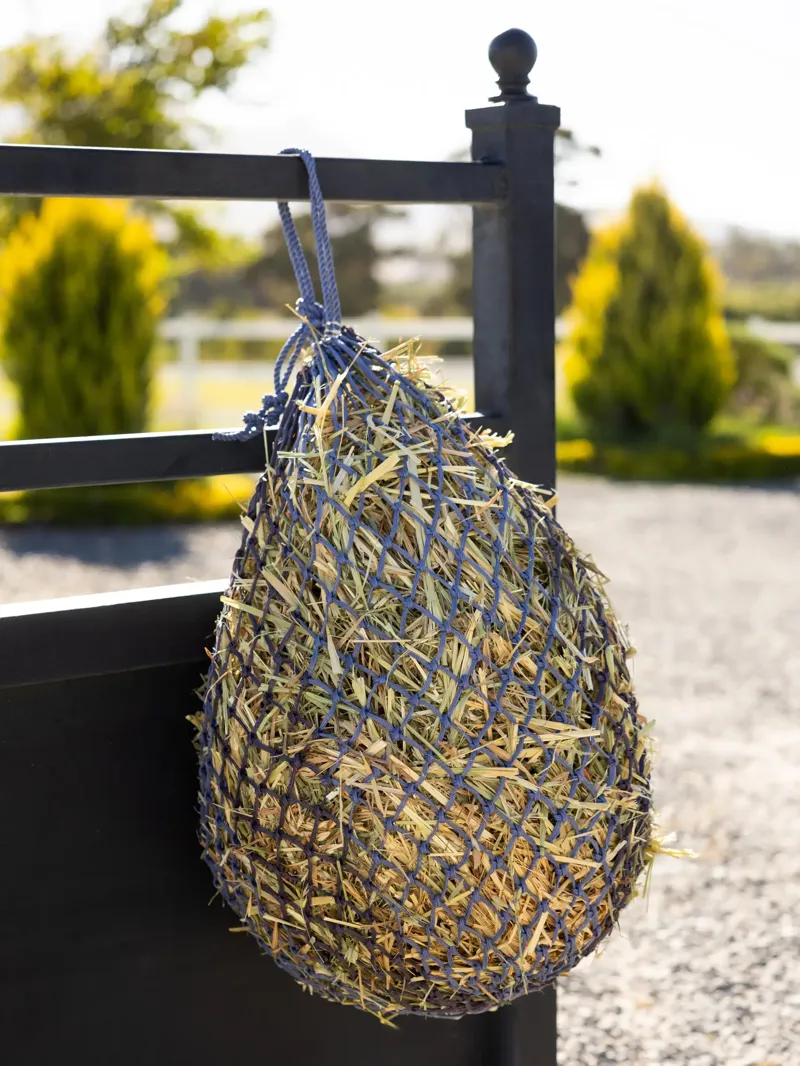 LeMieux Hippo Haynet - Powder Blue/Shadow-3