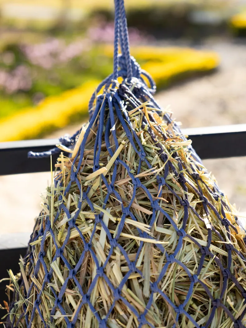 LeMieux Hippo Haynet - Powder Blue/Shadow-1