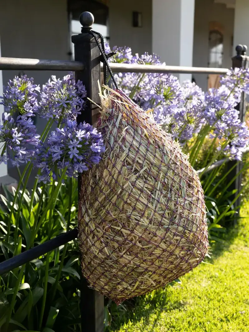 LeMieux Hippo Lite Haynet - Navy/Mallow-2