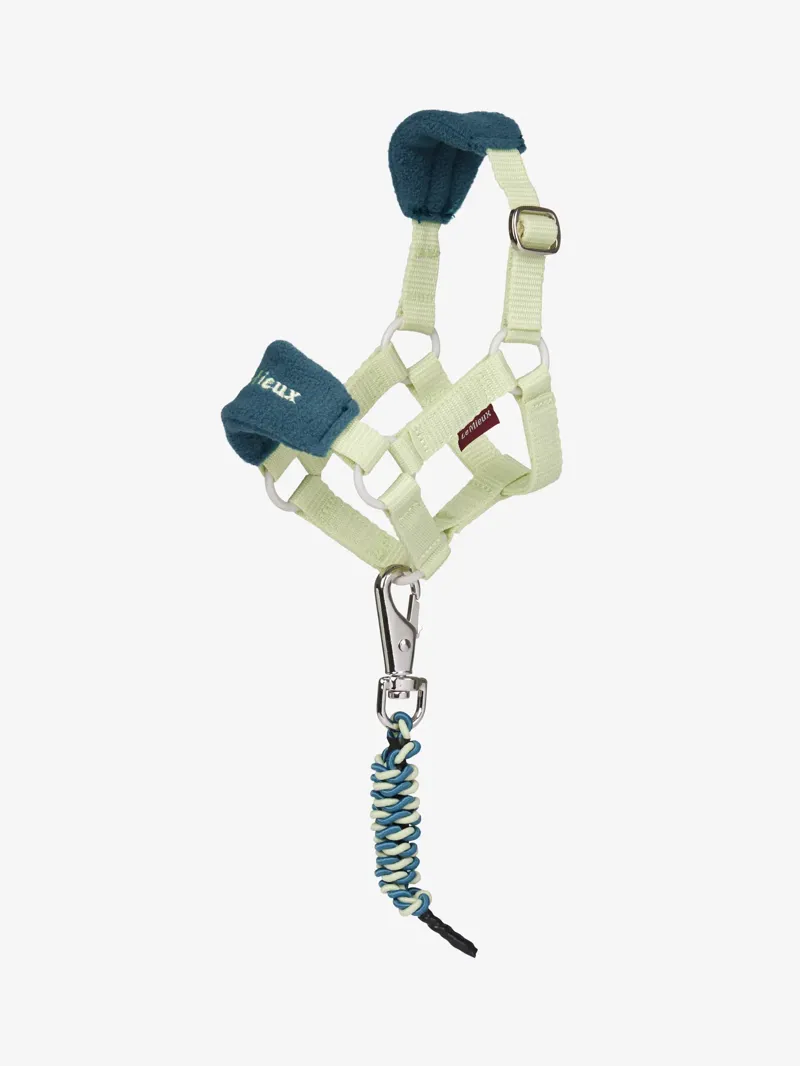 LeMieux Toy Pony Headcollar and Leadrope - Macaron