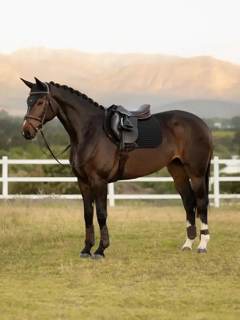 LeMieux Air-Tek CC Square - Black Large-2