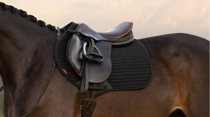 LeMieux Air-Tek CC Square - Black Large-3