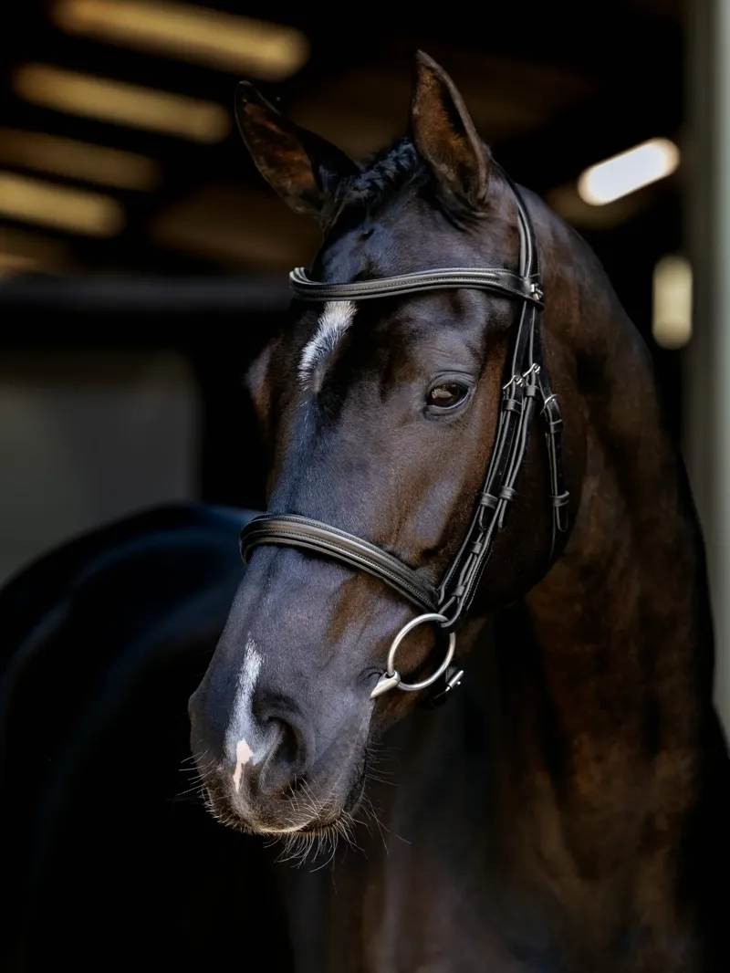 LeMieux Arika Anatomic Cavesson Bridle - Black/Silver