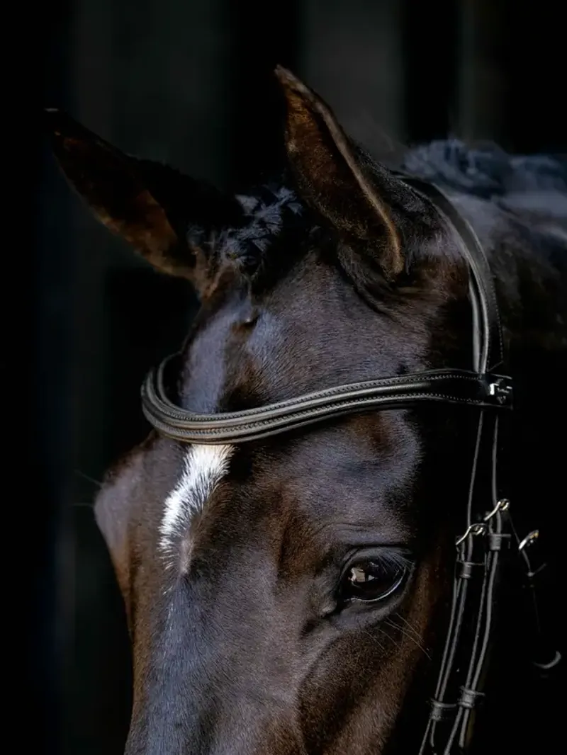 LeMieux Arika Anatomic Cavesson Bridle - Black/Silver-3