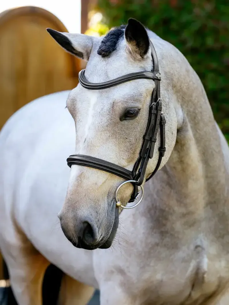 LeMieux Arika Anatomic Cavesson Bridle - Brown/Silver