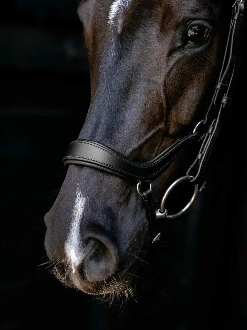 LeMieux Arika Anatomic Drop Bridle - Black/Silver-3
