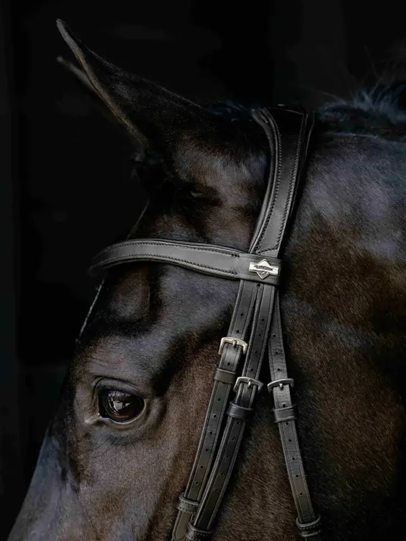 LeMieux Arika Anatomic Drop Bridle - Black/Silver-2