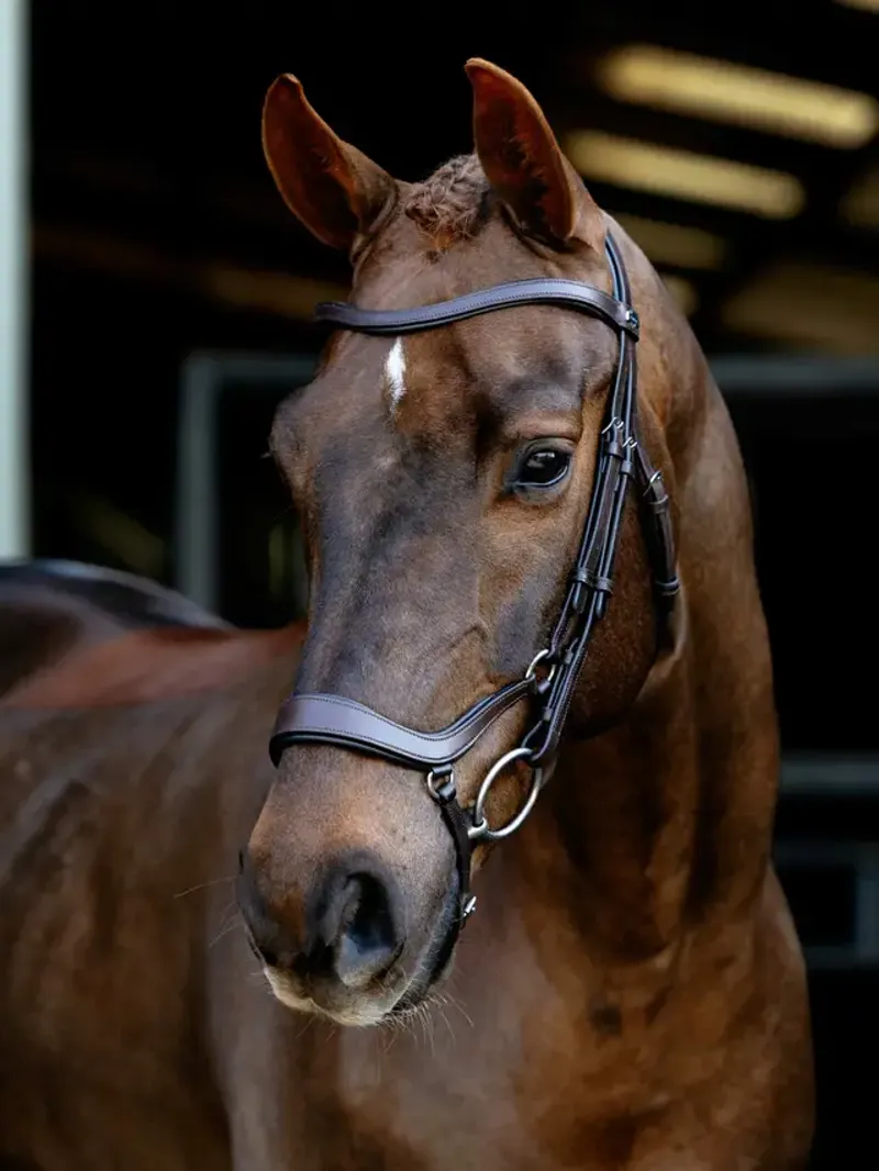 LeMieux Arika Anatomic Drop Bridle - Brown/Silver