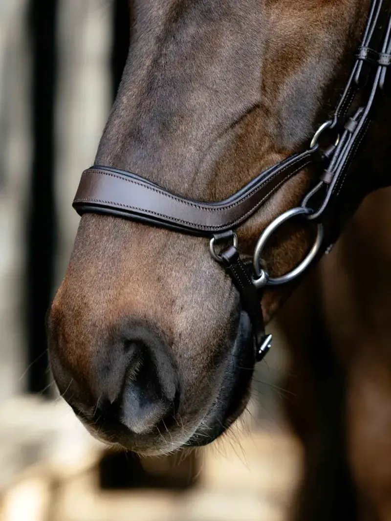LeMieux Arika Anatomic Drop Bridle - Brown/Silver-3