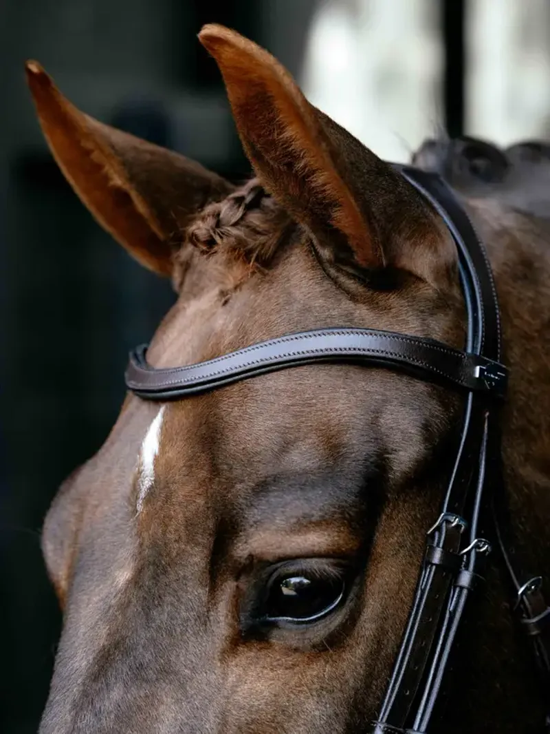LeMieux Arika Anatomic Drop Bridle - Brown/Silver-2