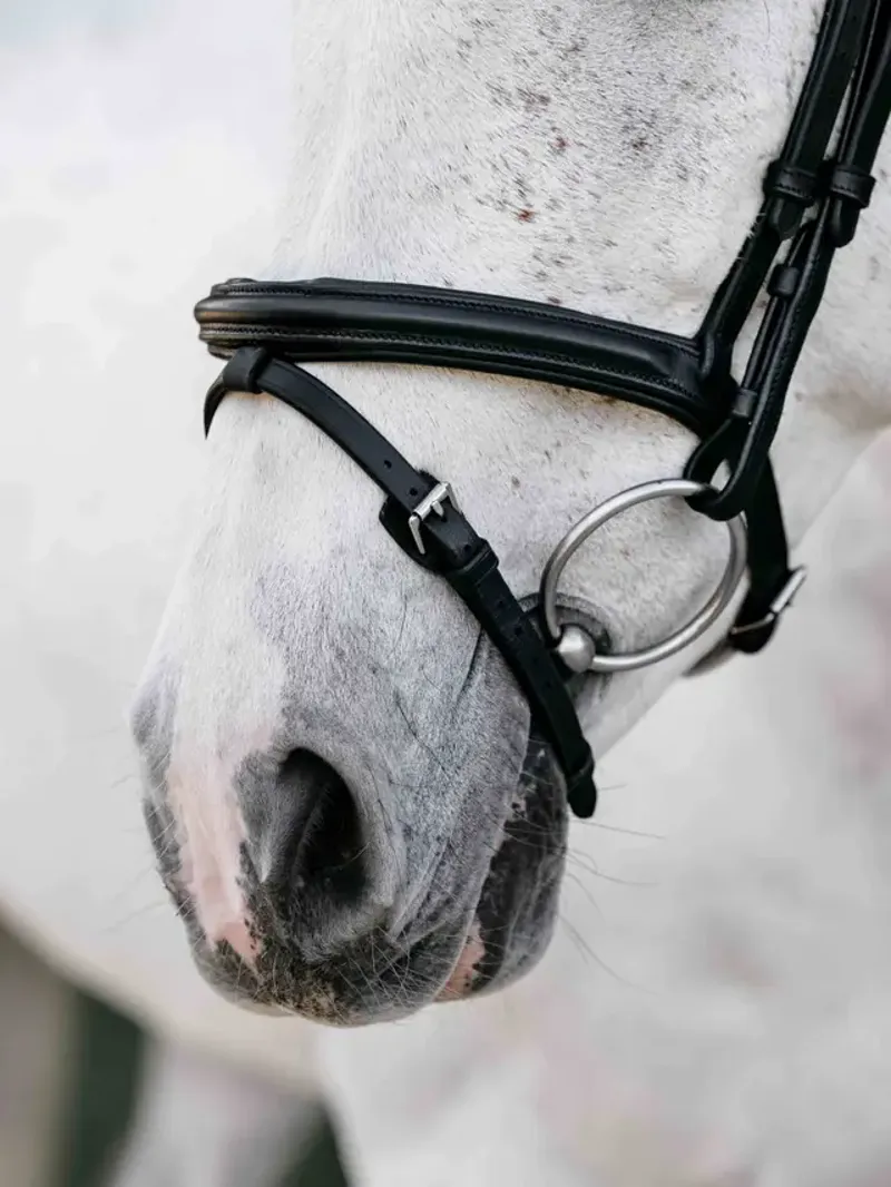 LeMieux Arika Anatomic Flash Bridle - Black/Silver-3